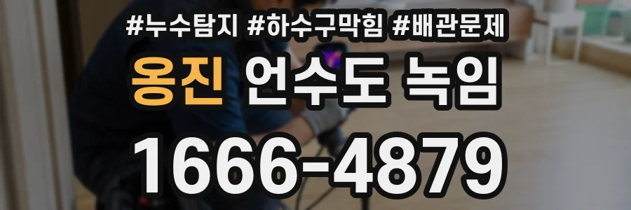 옹진 언수도 녹임