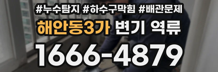 해안동3가 변기 역류