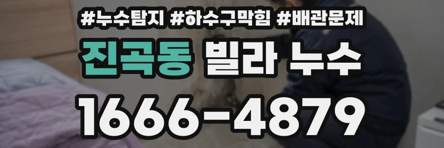 진곡동 빌라 누수