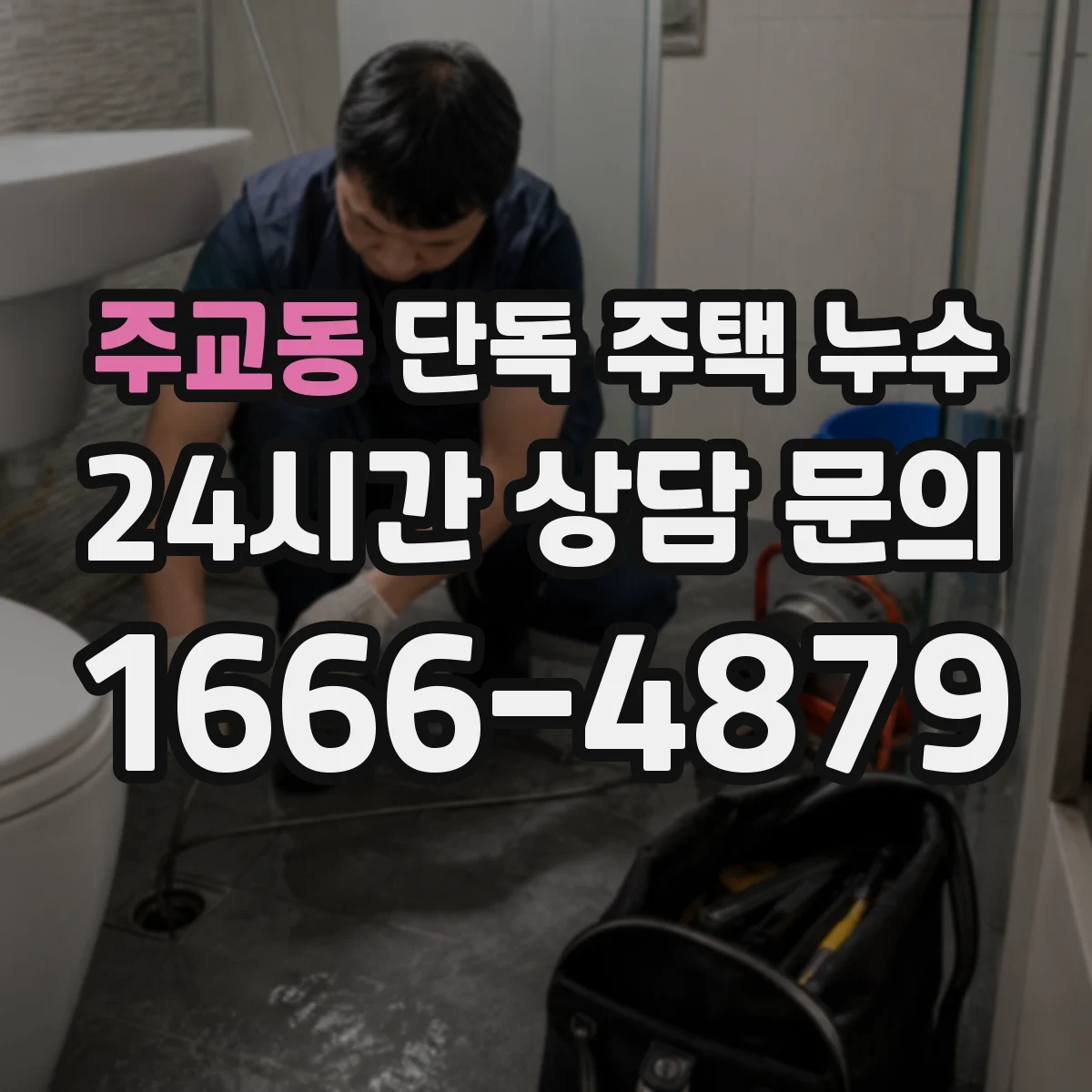 주교동 단독 주택 누수