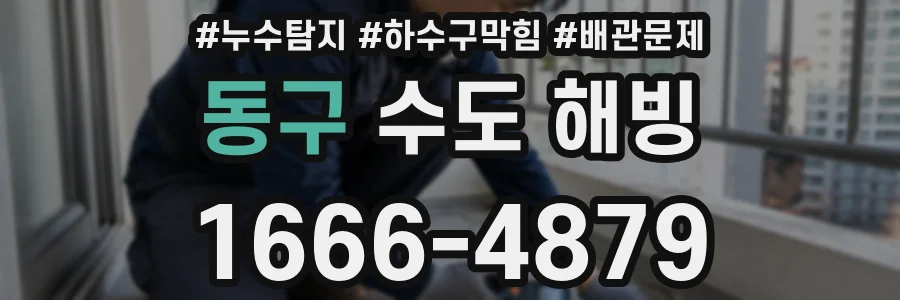 동구 수도 해빙