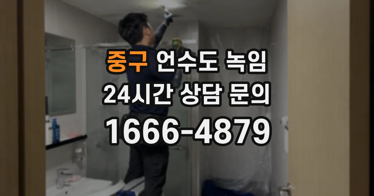 중구 언수도 녹임