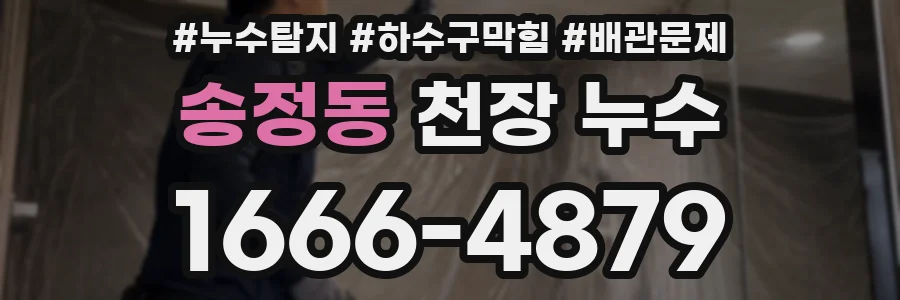 송정동 천장 누수