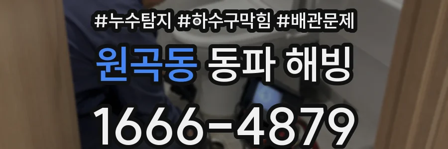 원곡동 동파 해빙