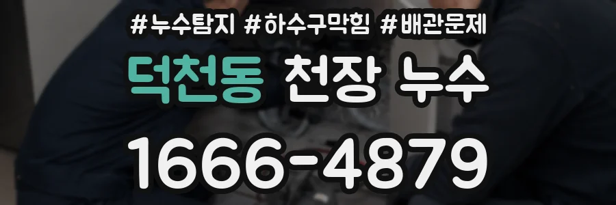 덕천동 천장 누수