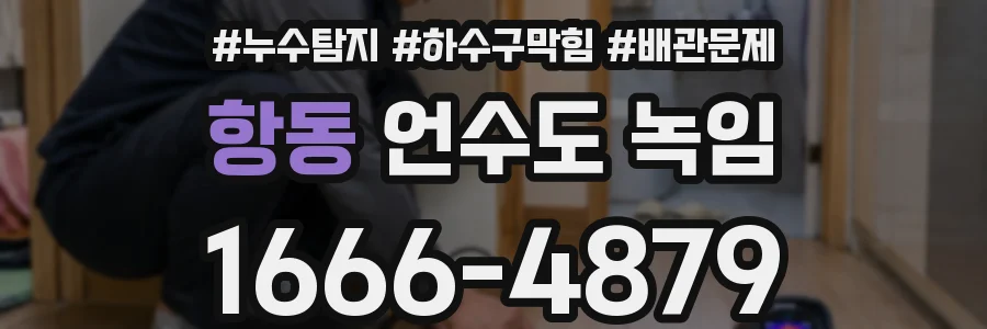 항동 언수도 녹임