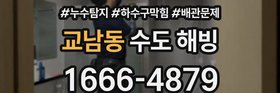 교남동 수도 해빙