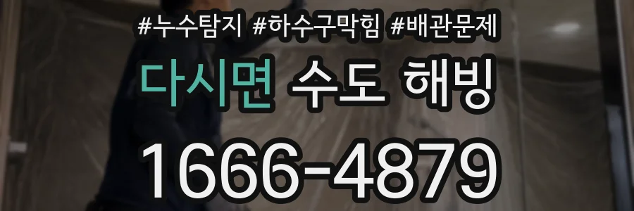 다시면 수도 해빙