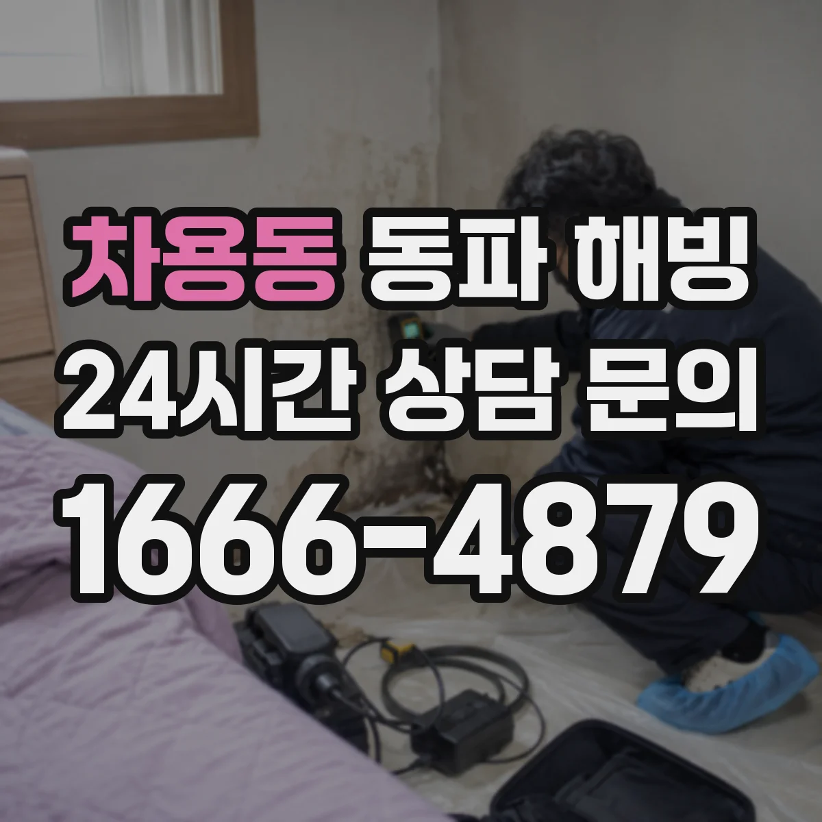 차용동 동파 해빙