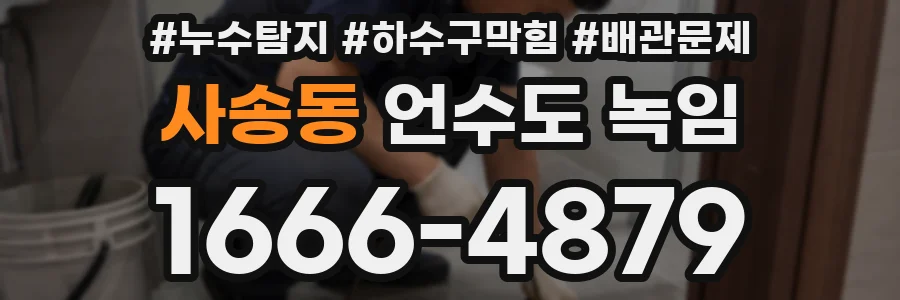 사송동 언수도 녹임