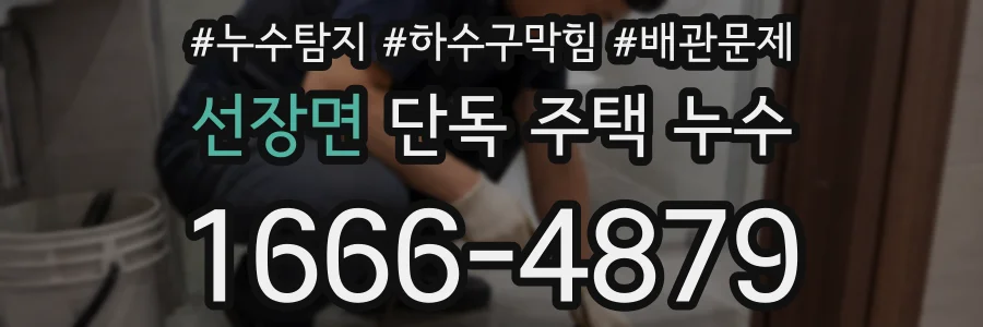 선장면 단독 주택 누수