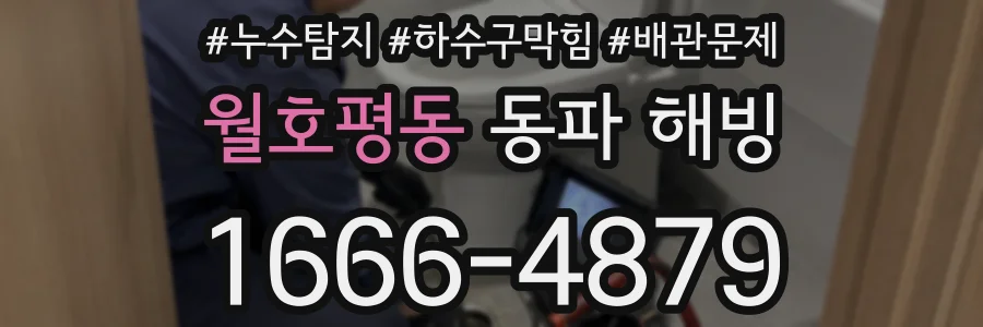 월호평동 동파 해빙