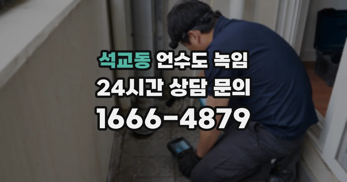 석교동 언수도 녹임