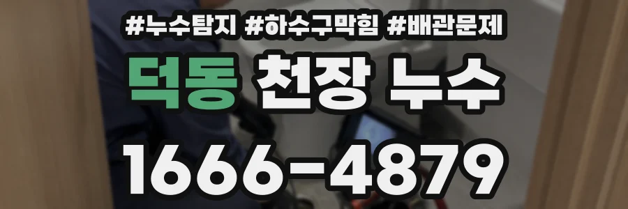 덕동 천장 누수