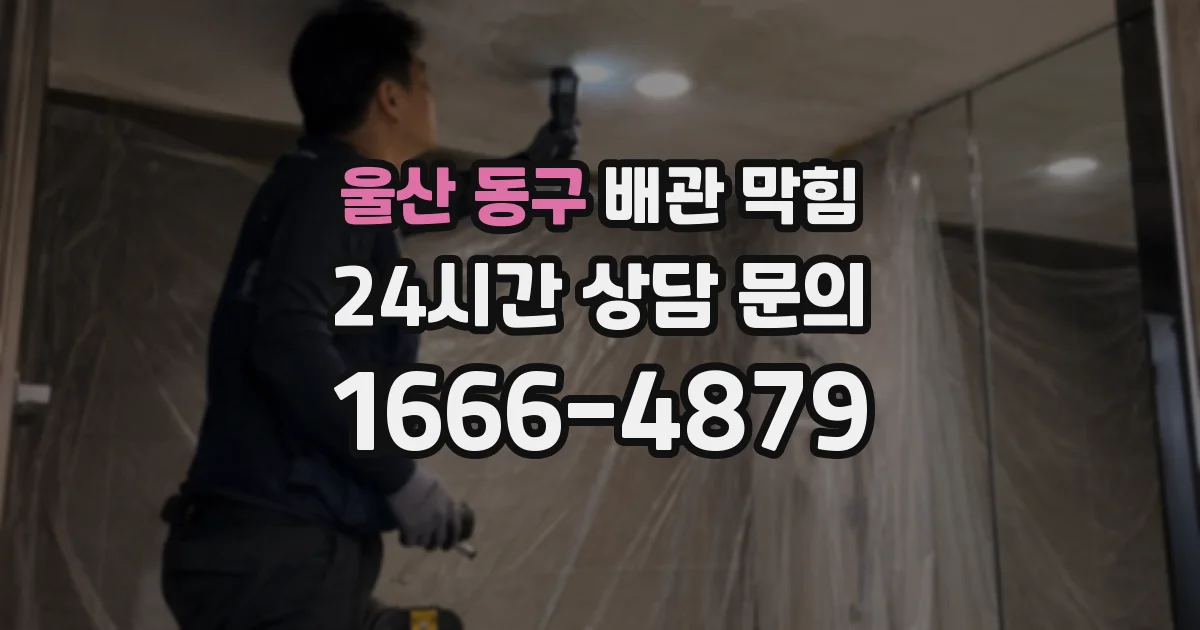 울산 동구 배관 막힘
