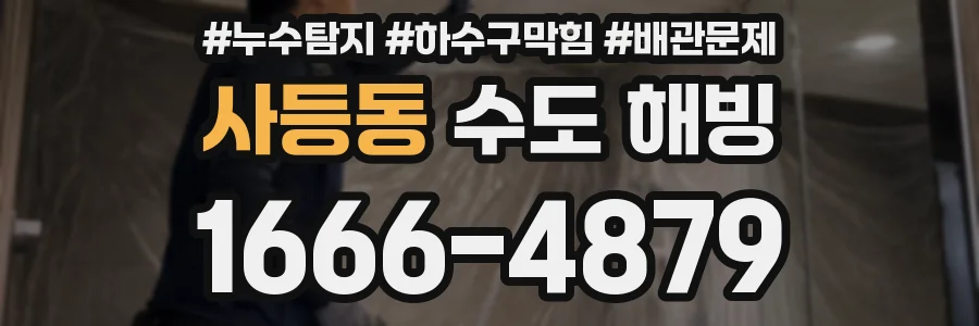 사등동 수도 해빙