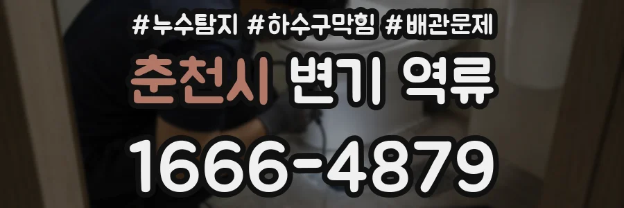 춘천시 변기 역류