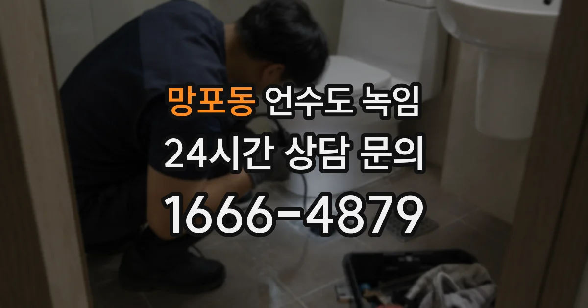 망포동 언수도 녹임