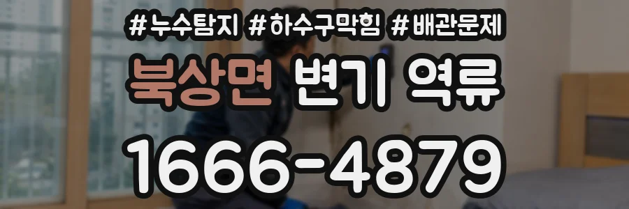 북상면 변기 역류