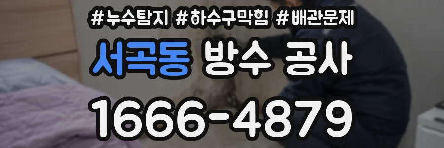 서곡동 방수 공사
