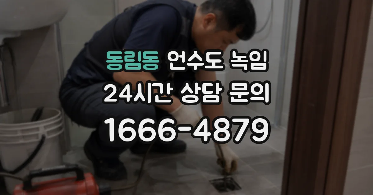 동림동 언수도 녹임