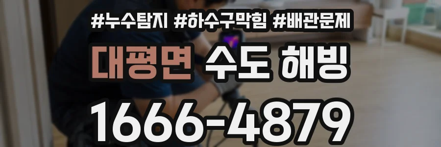 대평면 수도 해빙