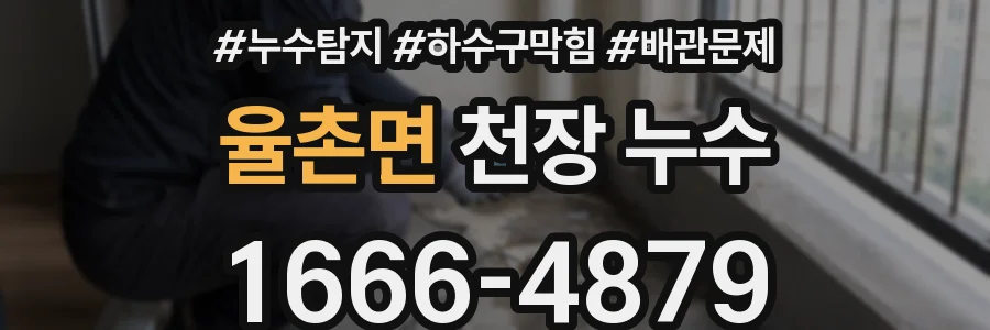 율촌면 천장 누수