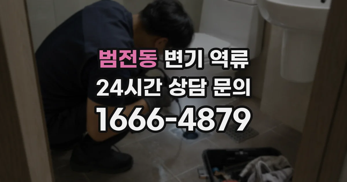 범전동 변기 역류