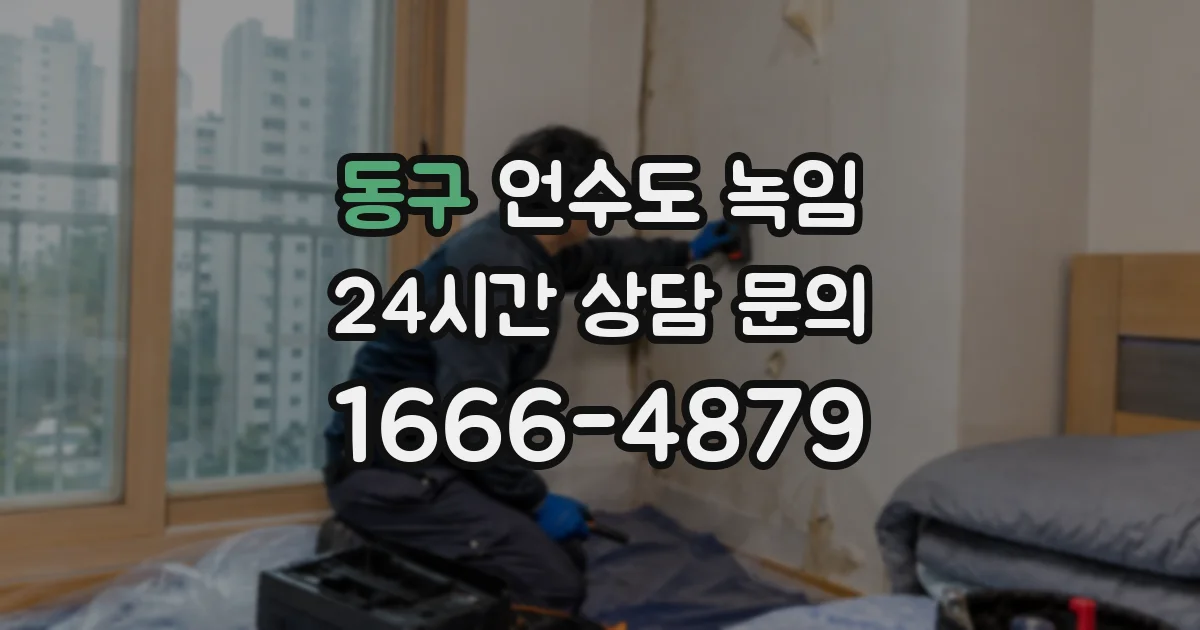 동구 언수도 녹임