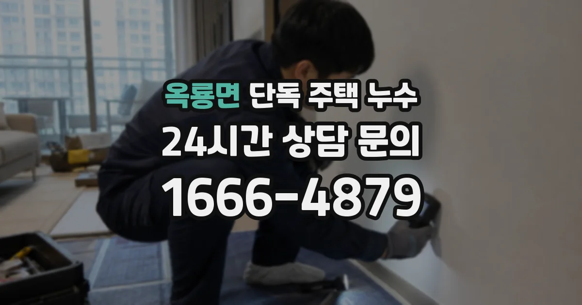 옥룡면 단독 주택 누수