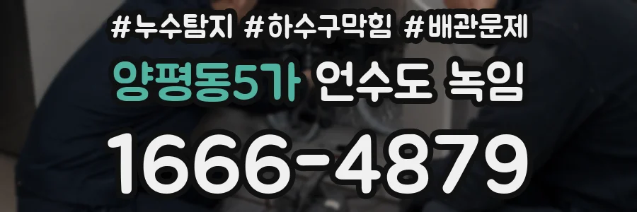 양평동5가 언수도 녹임