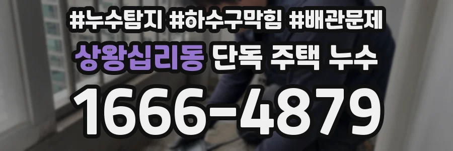 상왕십리동 단독 주택 누수