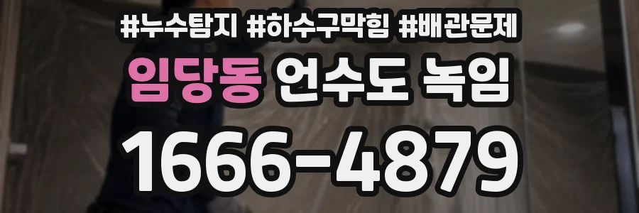 임당동 언수도 녹임
