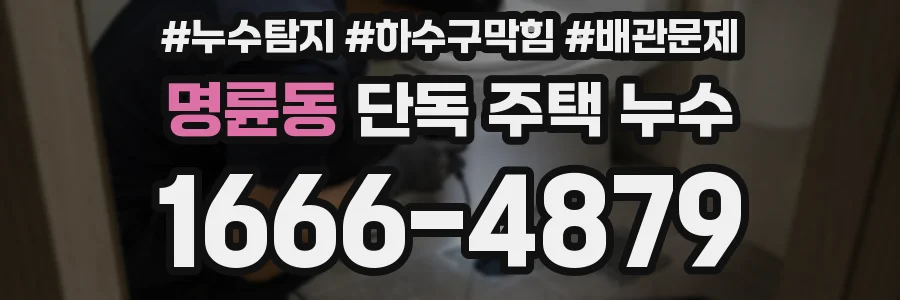 명륜동 단독 주택 누수
