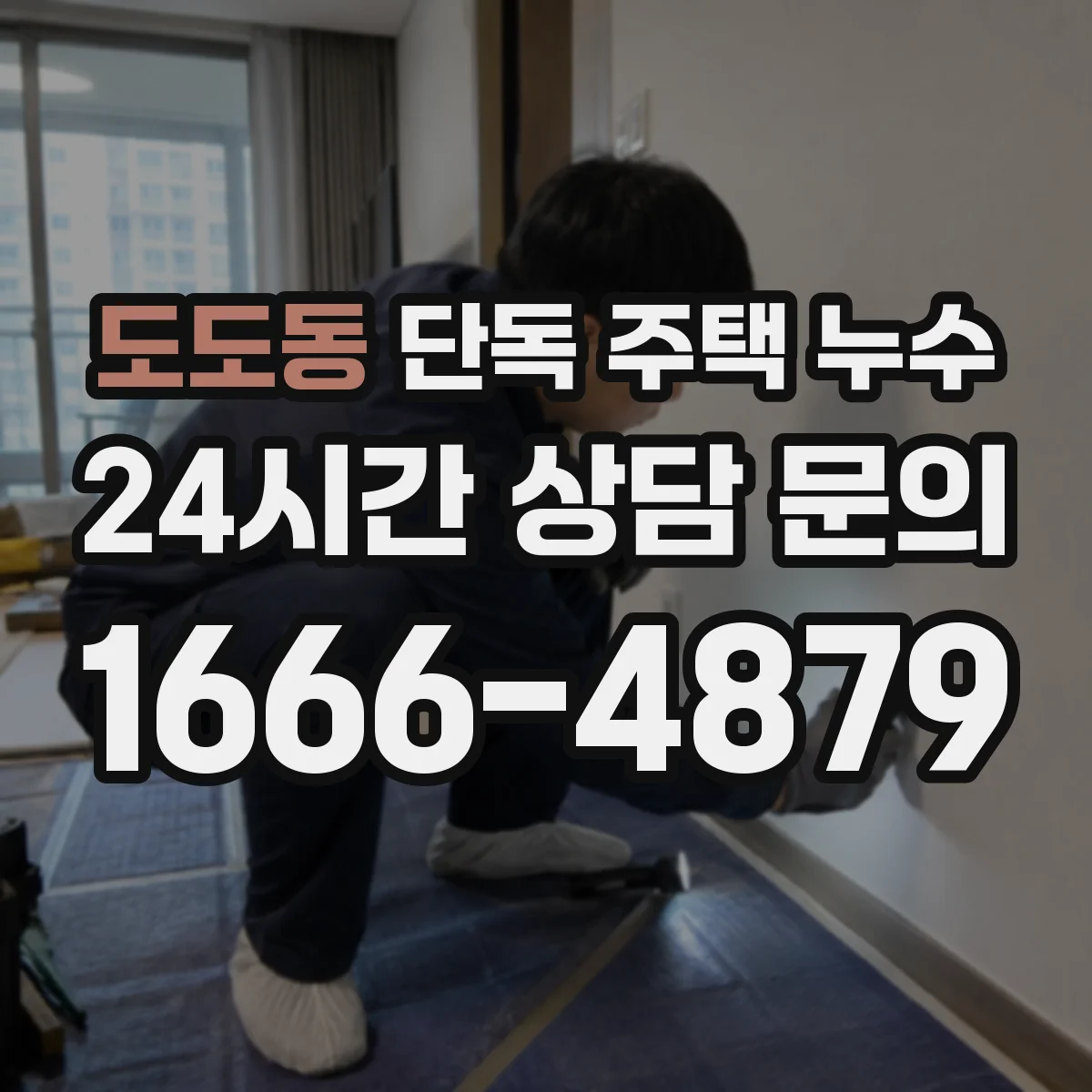 도도동 단독 주택 누수