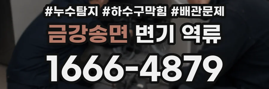 금강송면 변기 역류