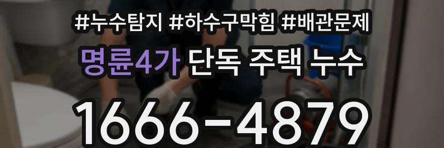 명륜4가 단독 주택 누수