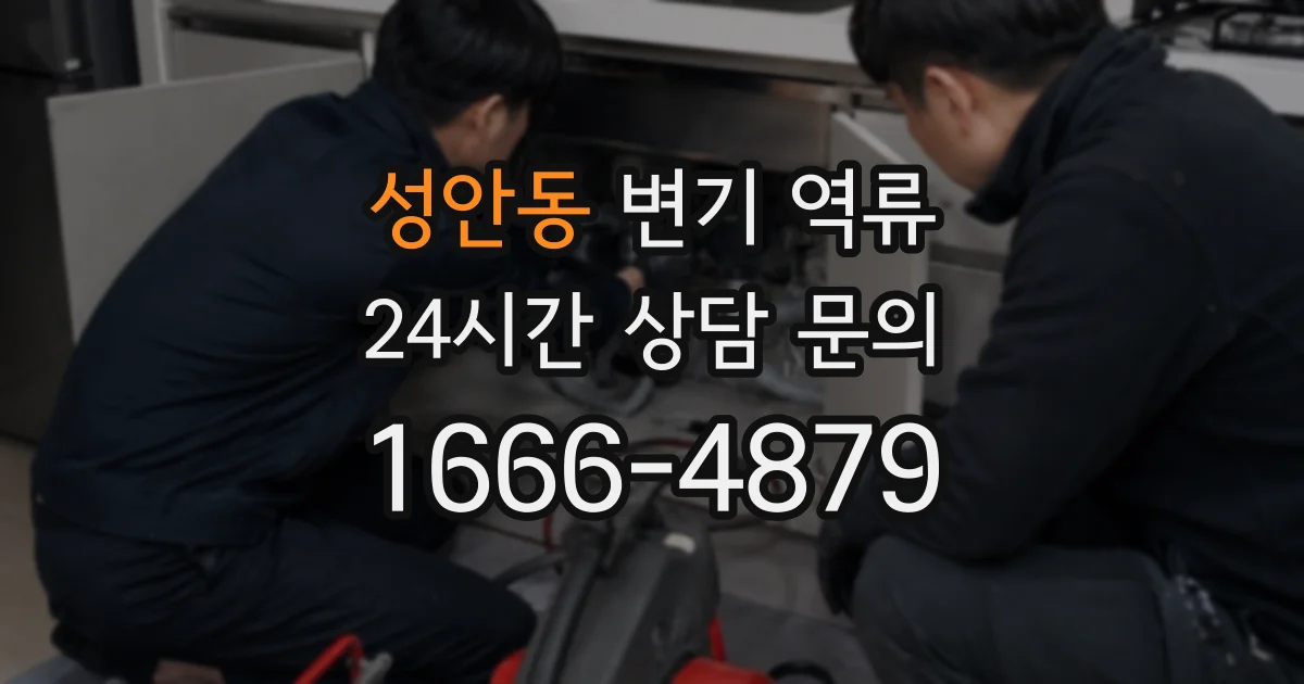 성안동 변기 역류