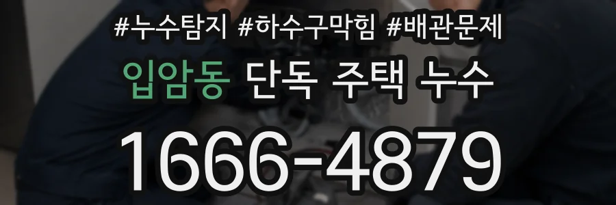 입암동 단독 주택 누수