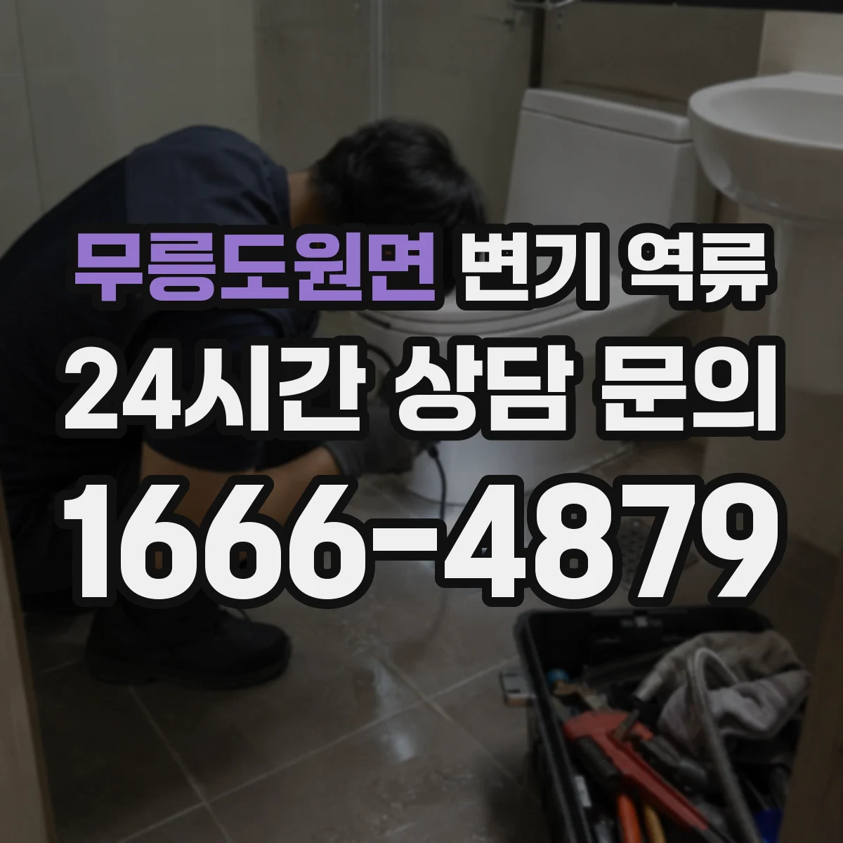 무릉도원면 변기 역류