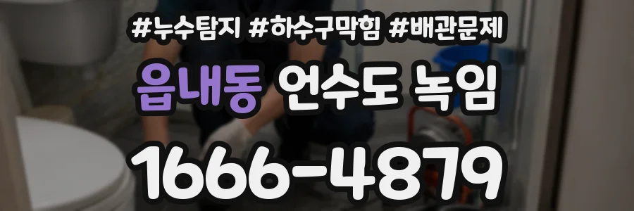 읍내동 언수도 녹임