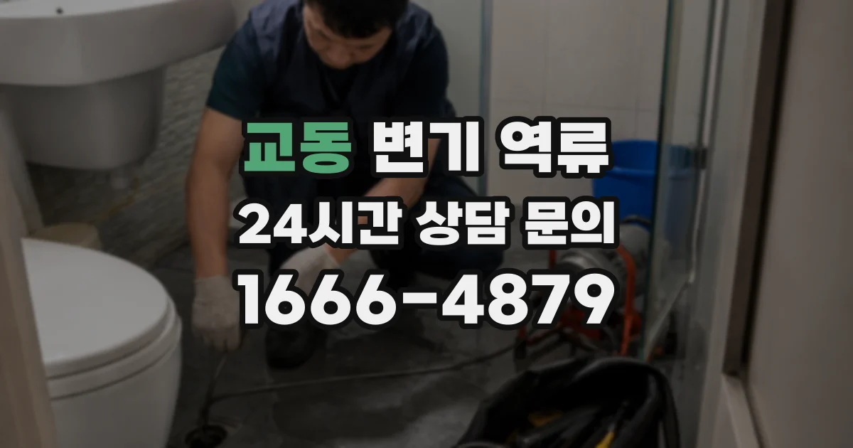 교동 변기 역류
