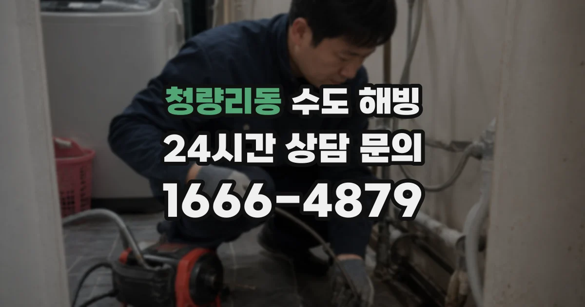 청량리동 수도 해빙