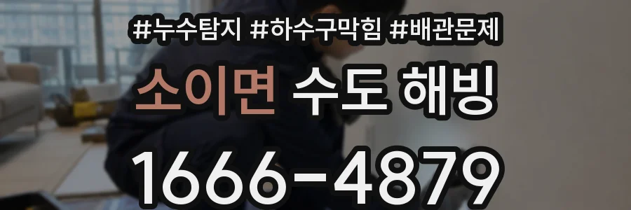 소이면 수도 해빙