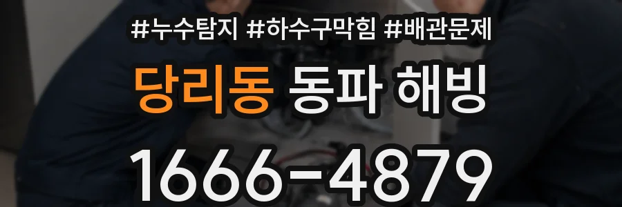 당리동 동파 해빙