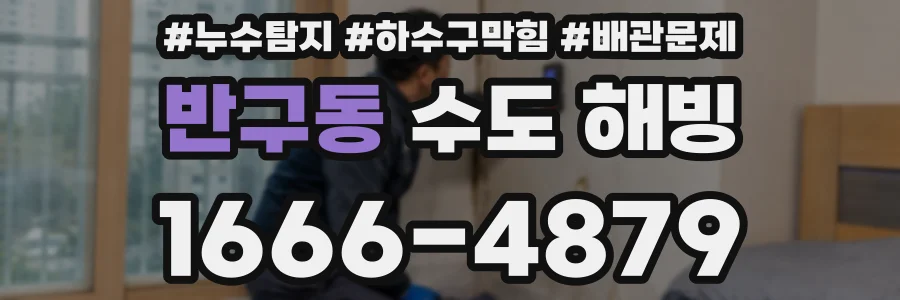 반구동 수도 해빙
