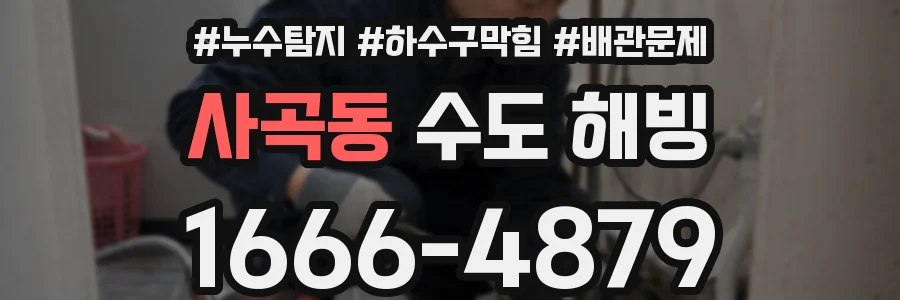 사곡동 수도 해빙
