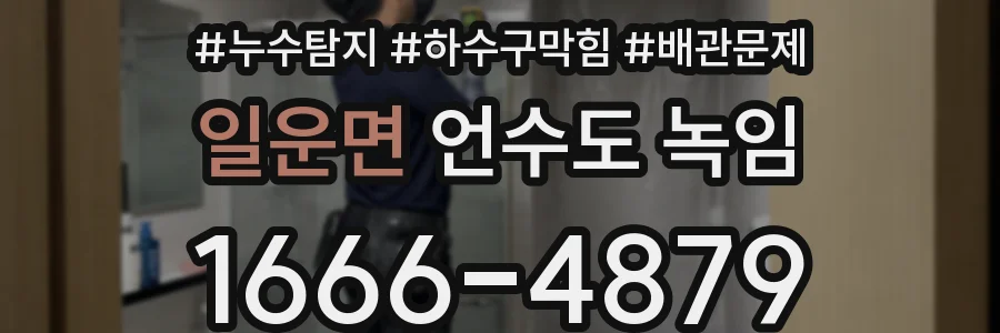 일운면 언수도 녹임