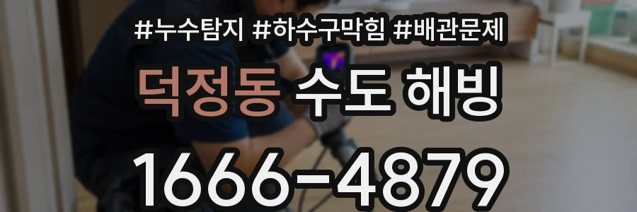 덕정동 수도 해빙