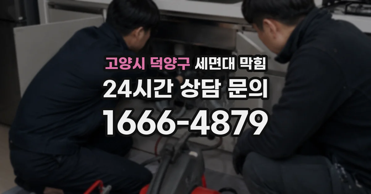 고양시 덕양구 세면대 막힘